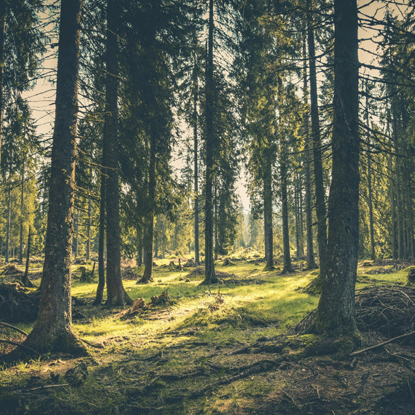 The Wonderful Benefits Of Being Outdoors